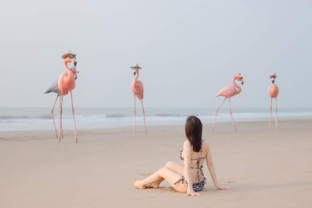 Ib306 Tu Doanh - Flamingo Hai Tien Thanh Hoa Bagian luar foto