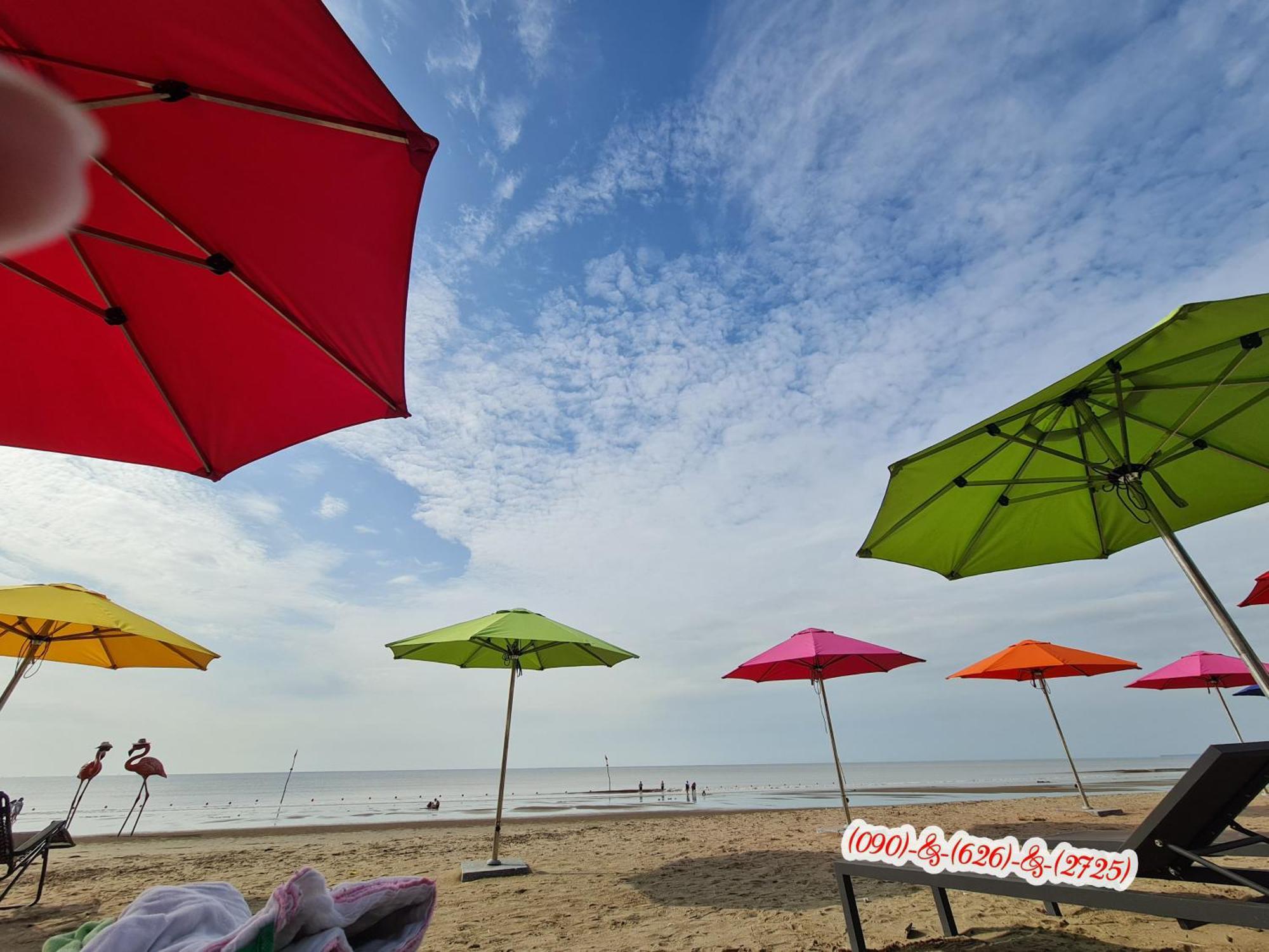 Ib306 Tu Doanh - Flamingo Hai Tien Thanh Hoa Bagian luar foto